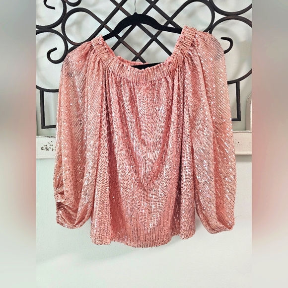 NWT Vine & Love Sequin Top in Rose Gold. Size S - Picture 3 of 4